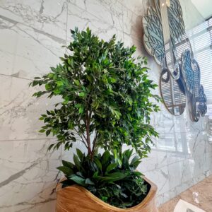 Wavy Wood Indoor Planter with Green Foliage